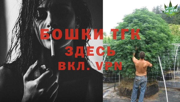 дживик Сосновоборск