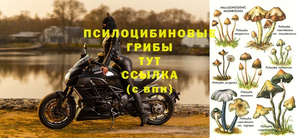 прущая мука Нея