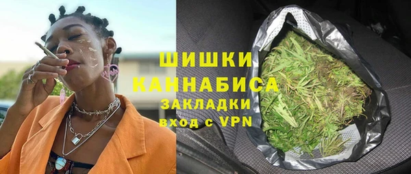 дживик Сосновоборск