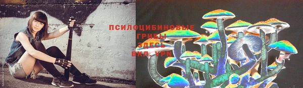 дживик Сосновоборск